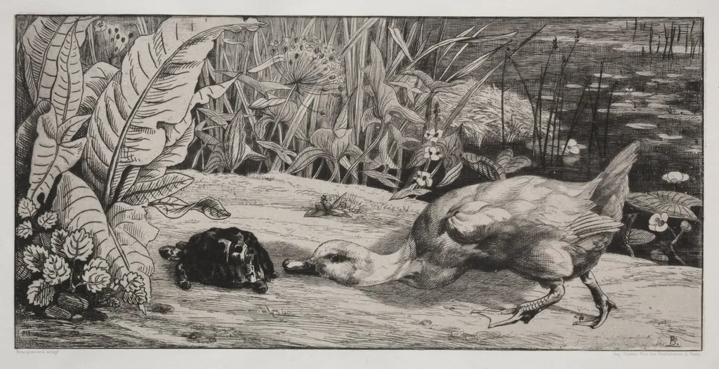 An Unknown, by Félix Bracquemond, 1862