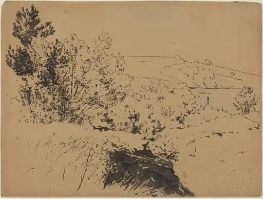 Coastal Landscape, by Félix Bracquemond