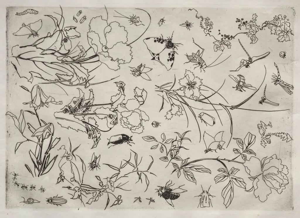 Dinner Service (Rousseau service): Flowers and Insects (no. 15), by Félix Bracquemond, 1866
