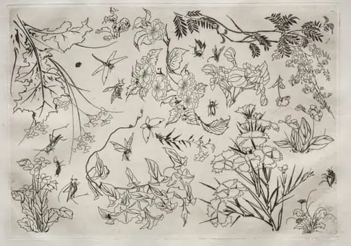 Dinner Service (Rousseau service): Flowers (no. 22), by Félix Bracquemond