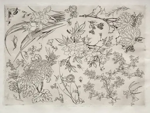 Dinner Service (Rousseau service): Flowers (no. 23), by Félix Bracquemond