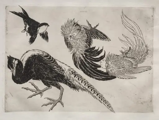 Dinner Service (Rousseau service): Pheasants and bird (no. 18), by Félix Bracquemond