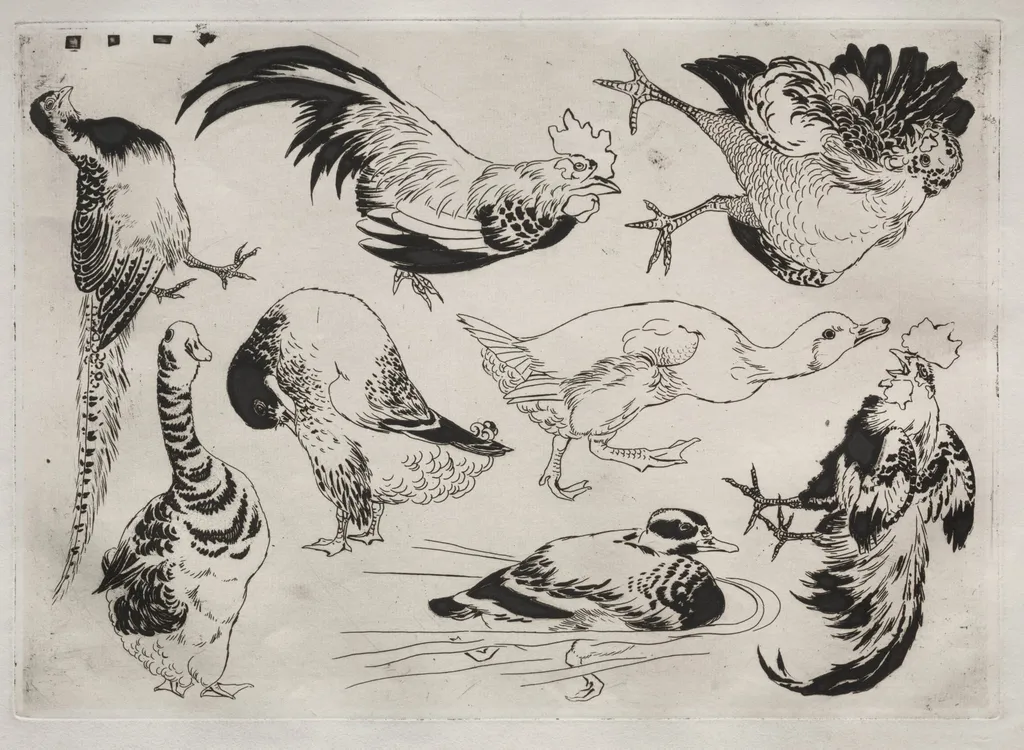 Dinner Service (Rousseau service): Roosters, ducks, etc. (no. 13), by Félix Bracquemond, 1866