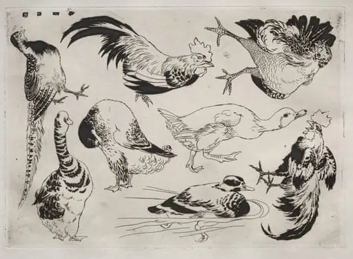 Dinner Service (Rousseau service): Roosters, ducks, etc. (no. 13), by Félix Bracquemond