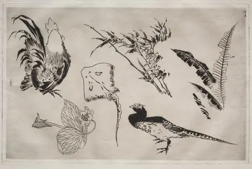 Dinner Service (Rousseau service): Roosters, skate, plants, etc. (no. 9), by Félix Bracquemond