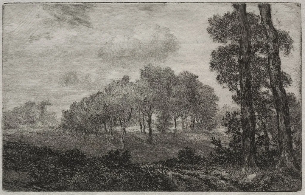 Landscape, after Français, by Félix Bracquemond, 1865