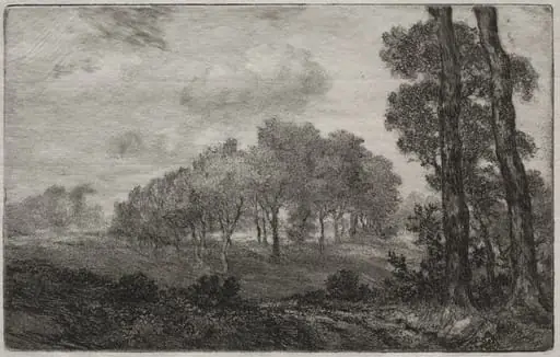 Landscape, after Français, by Félix Bracquemond