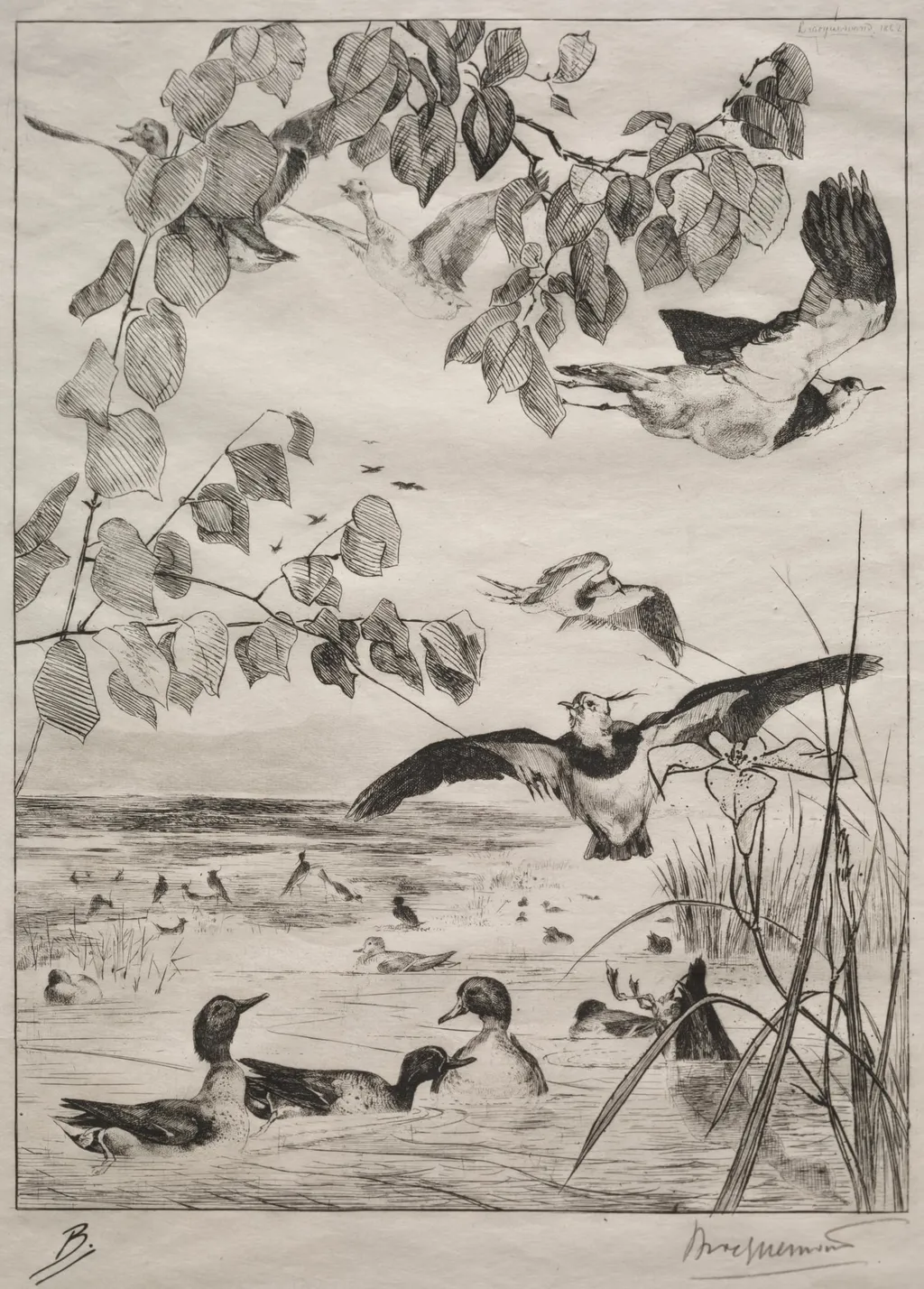 Lapwings and Teals, by Félix Bracquemond, 1862