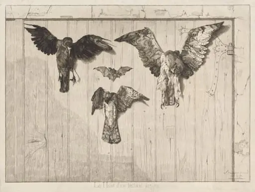 Le haut d'un battant de porte (Birds Nailed to a Barn Door), by Félix Bracquemond