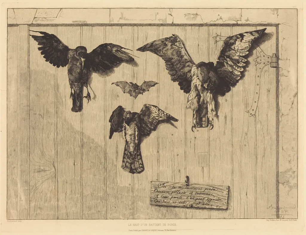 Le Haut d'un battant de porte (Birds Nailed to a Barn Door), by Félix Bracquemond, ink, 1852