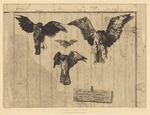 Le Haut d'un battant de porte (Birds Nailed to a Barn Door), by Félix Bracquemond