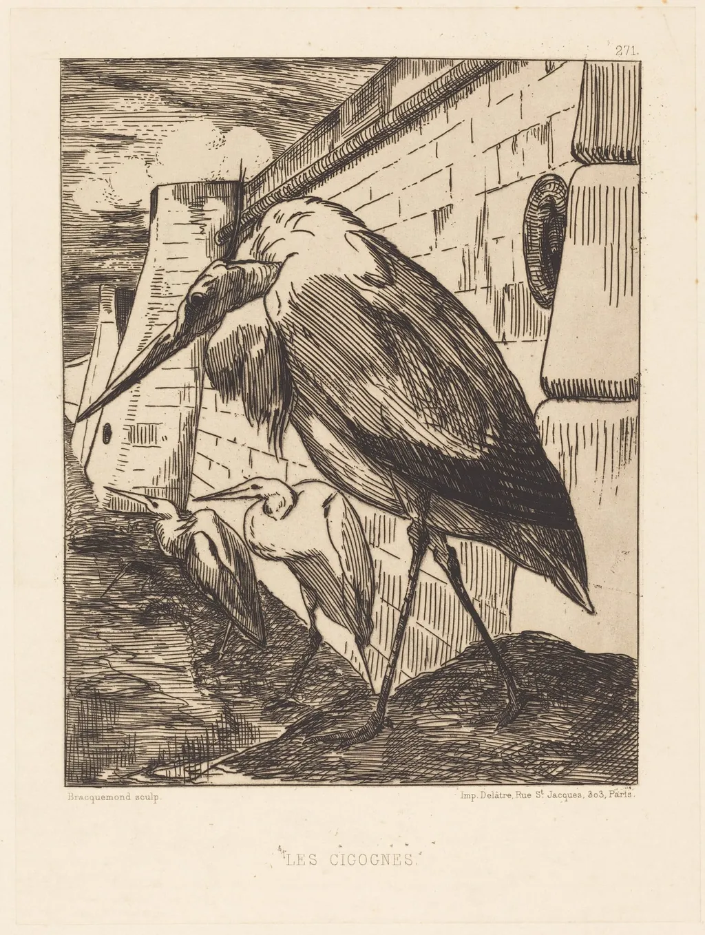 Les Cigognes (The Storks), by Félix Bracquemond, ink, 1874