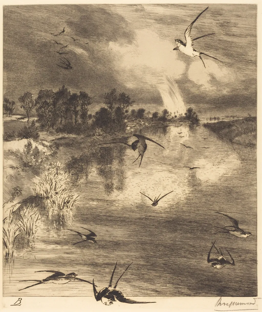 Les Hirondelles (The Swallows), by Félix Bracquemond, ink, 1882