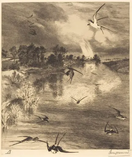 Les Hirondelles (The Swallows), by Félix Bracquemond