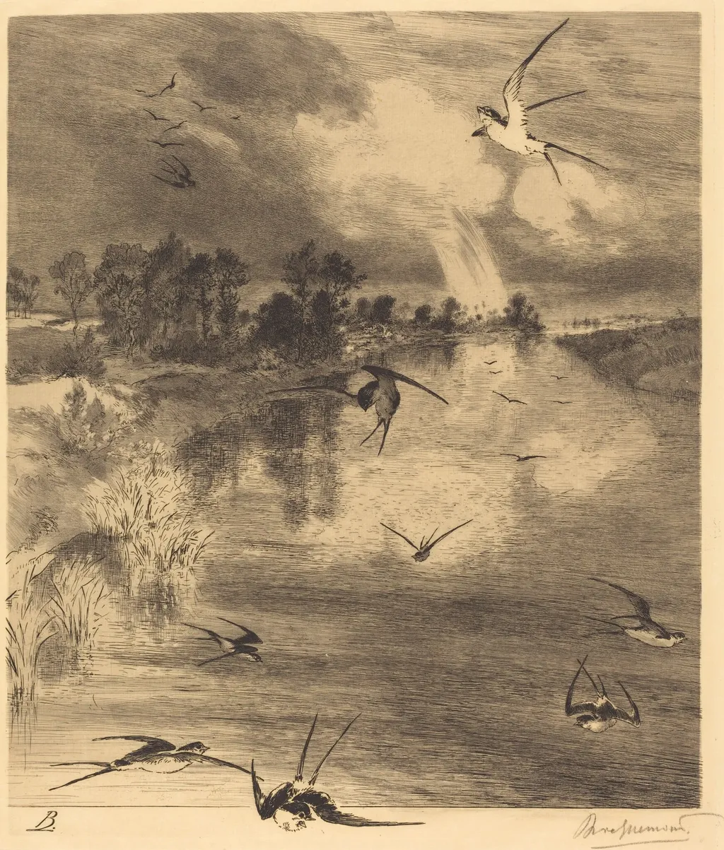 Les Hirondelles (The Swallows), by Félix Bracquemond, ink, 1882