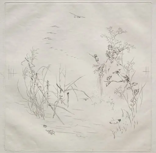 Parisian Service (Haviland service): Calm (no. 3), by Félix Bracquemond