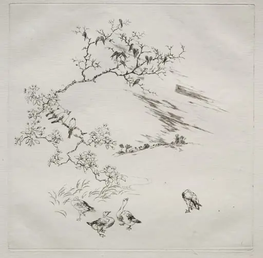 Parisian Service (Haviland service): Night (no. 7), by Félix Bracquemond