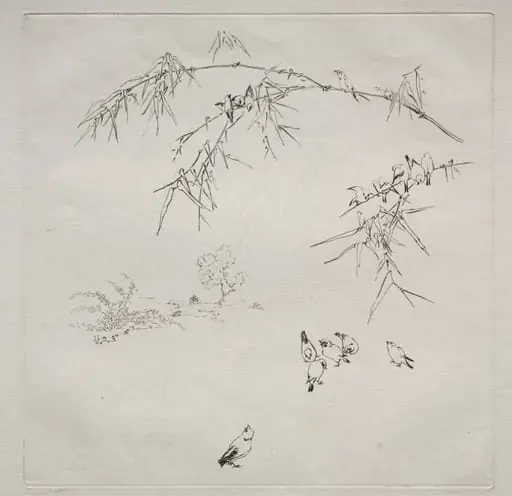 Parisian Service (Haviland service): Rain (no. 10), by Félix Bracquemond