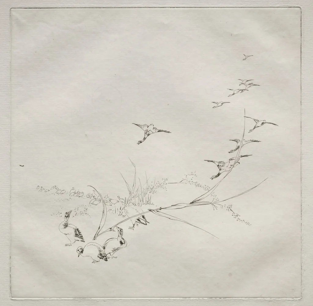 Parisian Service (Haviland service): Right in the sun (no. 9), by Félix Bracquemond, 1875
