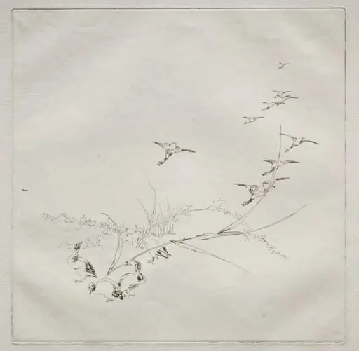 Parisian Service (Haviland service): Right in the sun (no. 9), by Félix Bracquemond