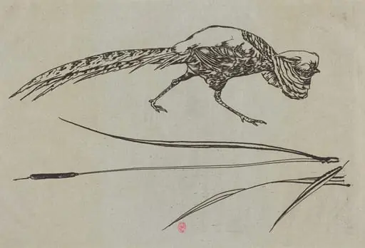 Pheasant and Cattail (Faisan et roseau), by Félix Bracquemond