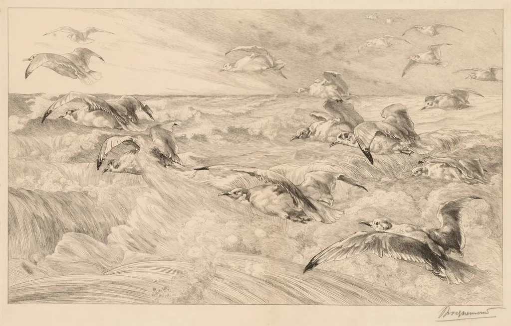 Seagulls (Les Mouettes), by Félix Bracquemond, 1882