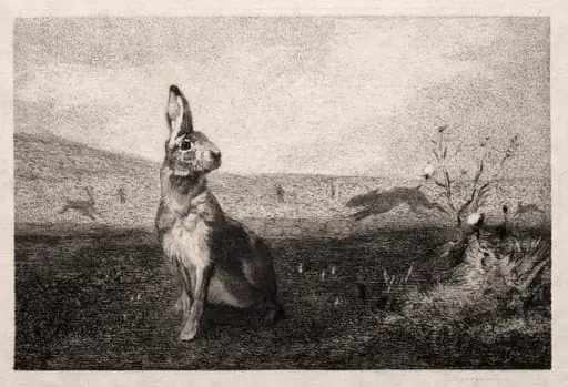 The Hare (after A. de Balleroy), by Félix Bracquemond