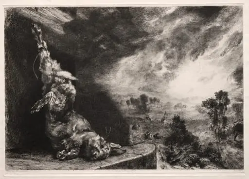 The Large Rabbit, by Félix Bracquemond