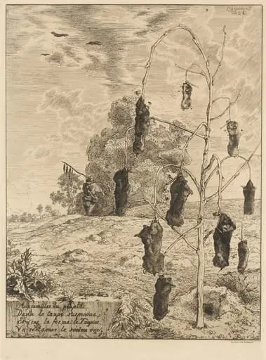 The Moles (Les Taupes), by Félix Bracquemond