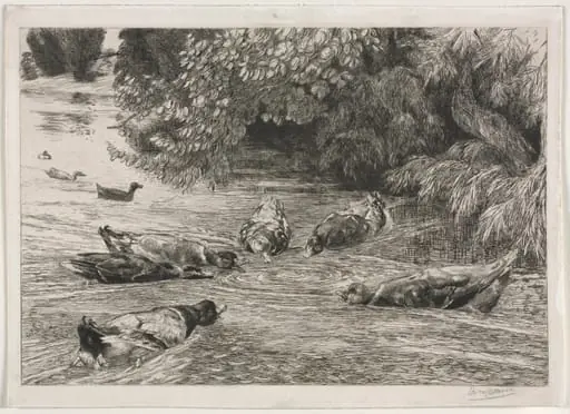 The Question Mark, by Félix Bracquemond