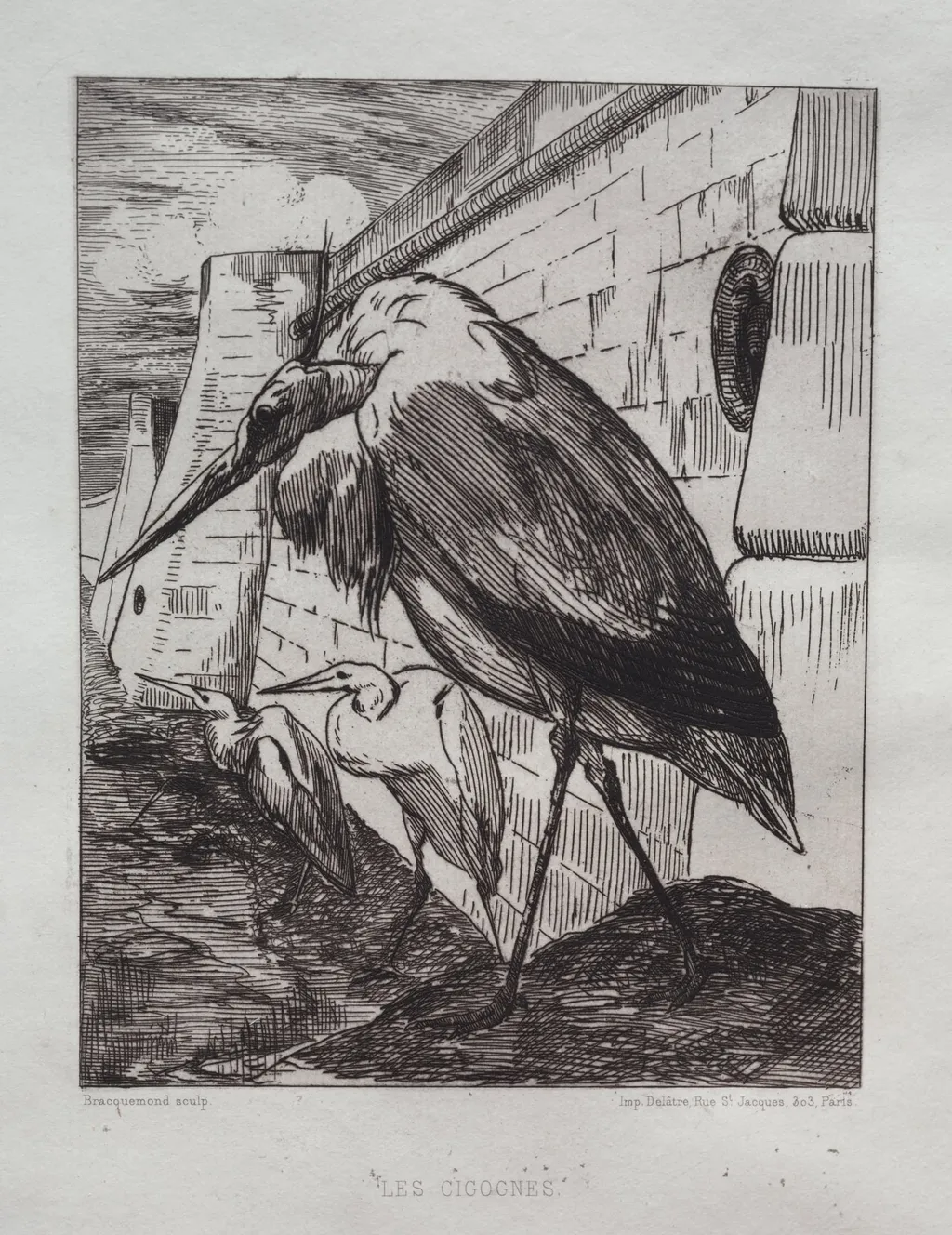 The Storks, by Félix Bracquemond, 1865