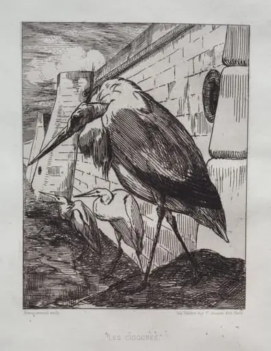The Storks, by Félix Bracquemond
