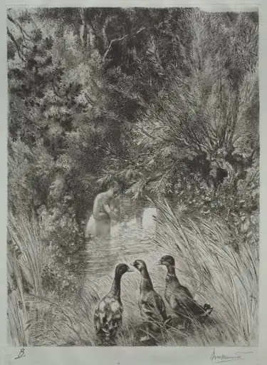 The Surprised Ducks, by Félix Bracquemond