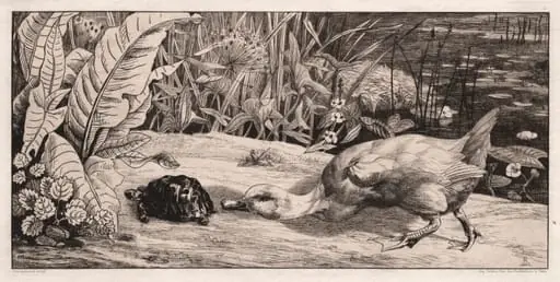 The Unknown, by Félix Bracquemond