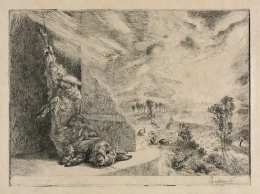 The Wild Rabbit, by Félix Bracquemond