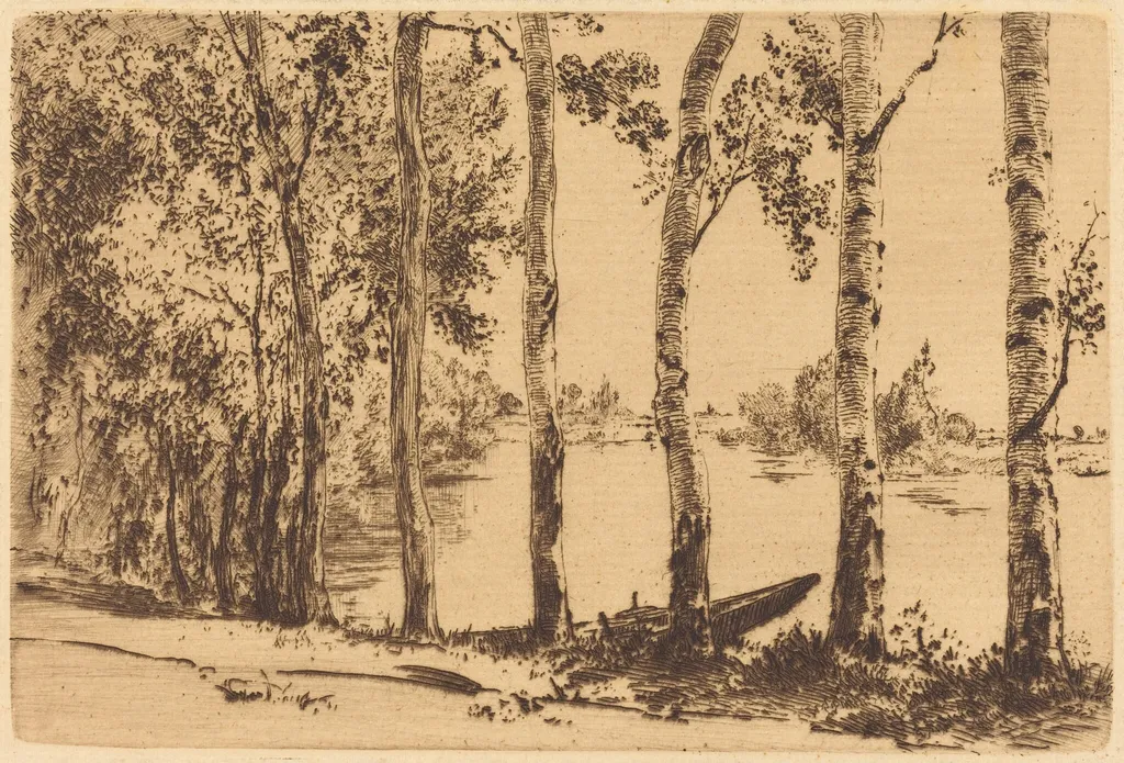 Trembles au bord de la Seine (Aspens on the Banks of the Seine), by Félix Bracquemond, ink, 1884