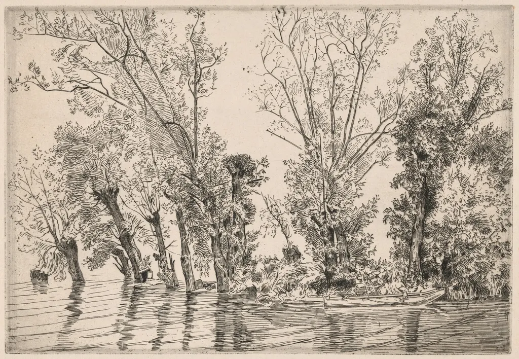 Willows of the Mottiaux Islands, by Félix Bracquemond, ink, 1868