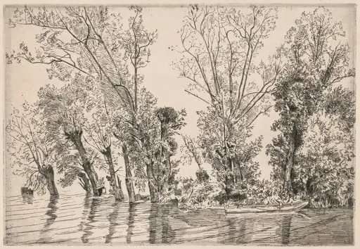 Willows of the Mottiaux Islands, by Félix Bracquemond