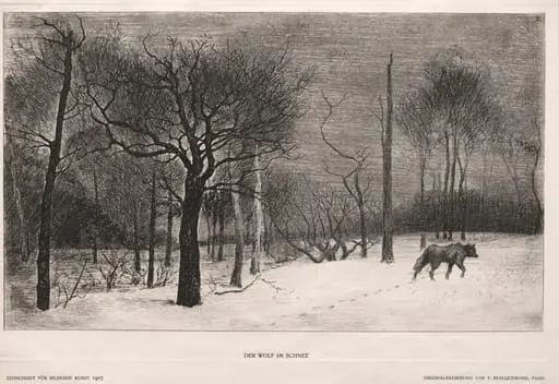 Winter, by Félix Bracquemond