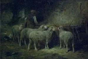 Feeding the animals