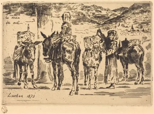 Feuilles d'Anes du Midi (Sheet of Donkeys from the South), by Félix-Hilaire Buhot