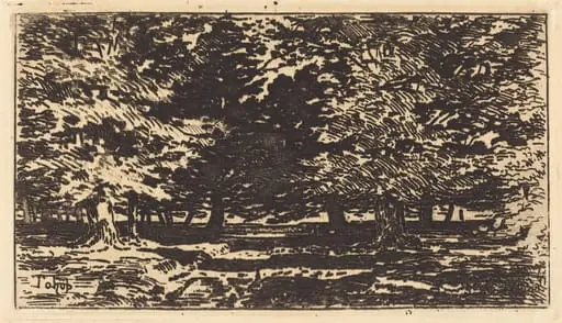 Forêt, by Félix-Hilaire Buhot