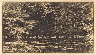 Forêt