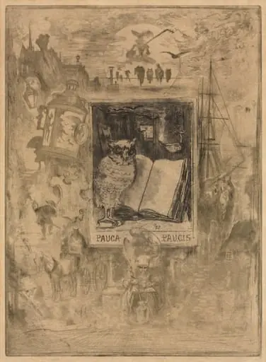 The Owl, by Félix-Hilaire Buhot