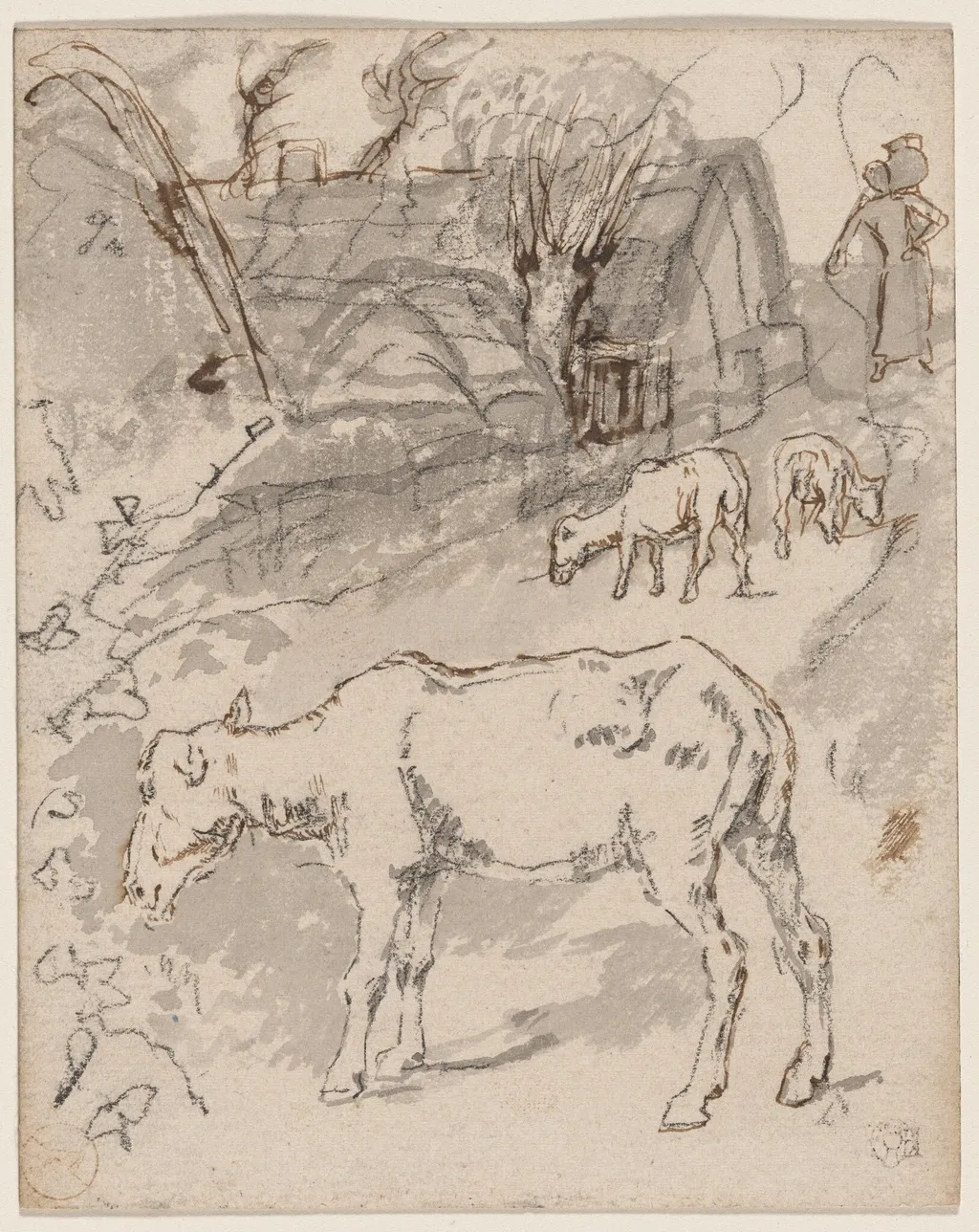 Three Sheep by a Cottage (recto)/Sketches of Cows (verso), by Félix-Hilaire Buhot, graphite, 1872