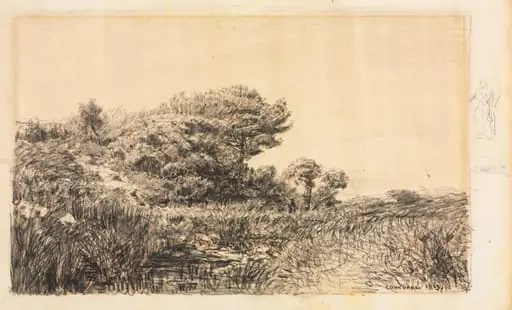 Edge of Marsh at Couronne, by Félix Ziem