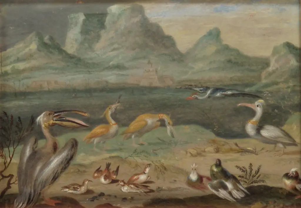 Ansichten aus den vier Weltteilen mit Szenen von Tieren: Kap der Guten Hoffnung, by Ferdinand van Kessel the Elder