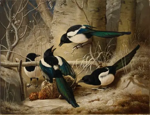 Harakoita kuolleen koppelon ympärillä, by Ferdinand von Wright