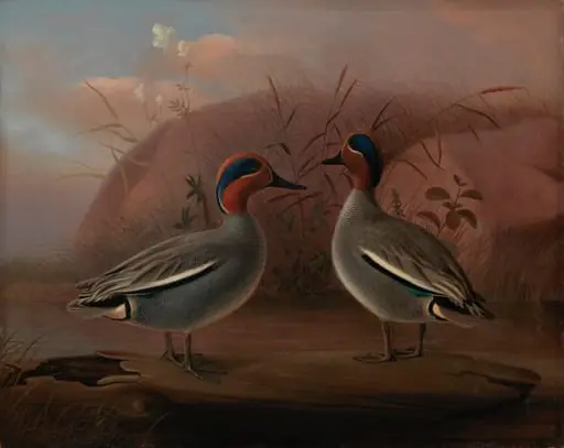 Kaksi koirastavia rannalla, by Ferdinand von Wright