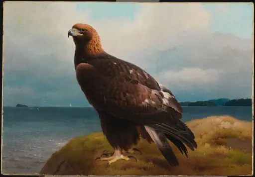 Maakotka, by Ferdinand von Wright